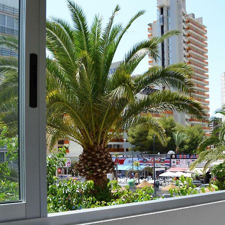 Margarita Apartment بينايدورم المظهر الخارجي الصورة
